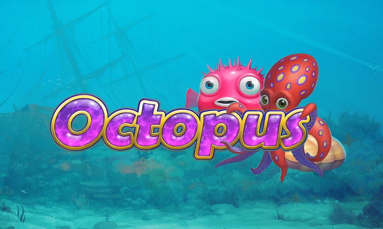 Octopus_Ov